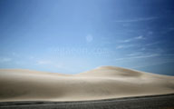 sand dune at South Padre Island Texas sand dune at South Padre Island Texas