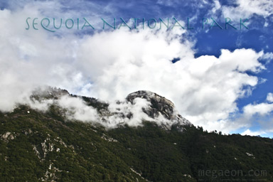 thumbnail preview of photo