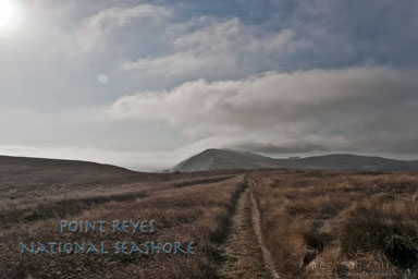 thumbnail preview of photo