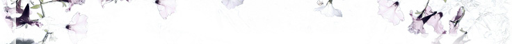 prefix mega is symbolized M